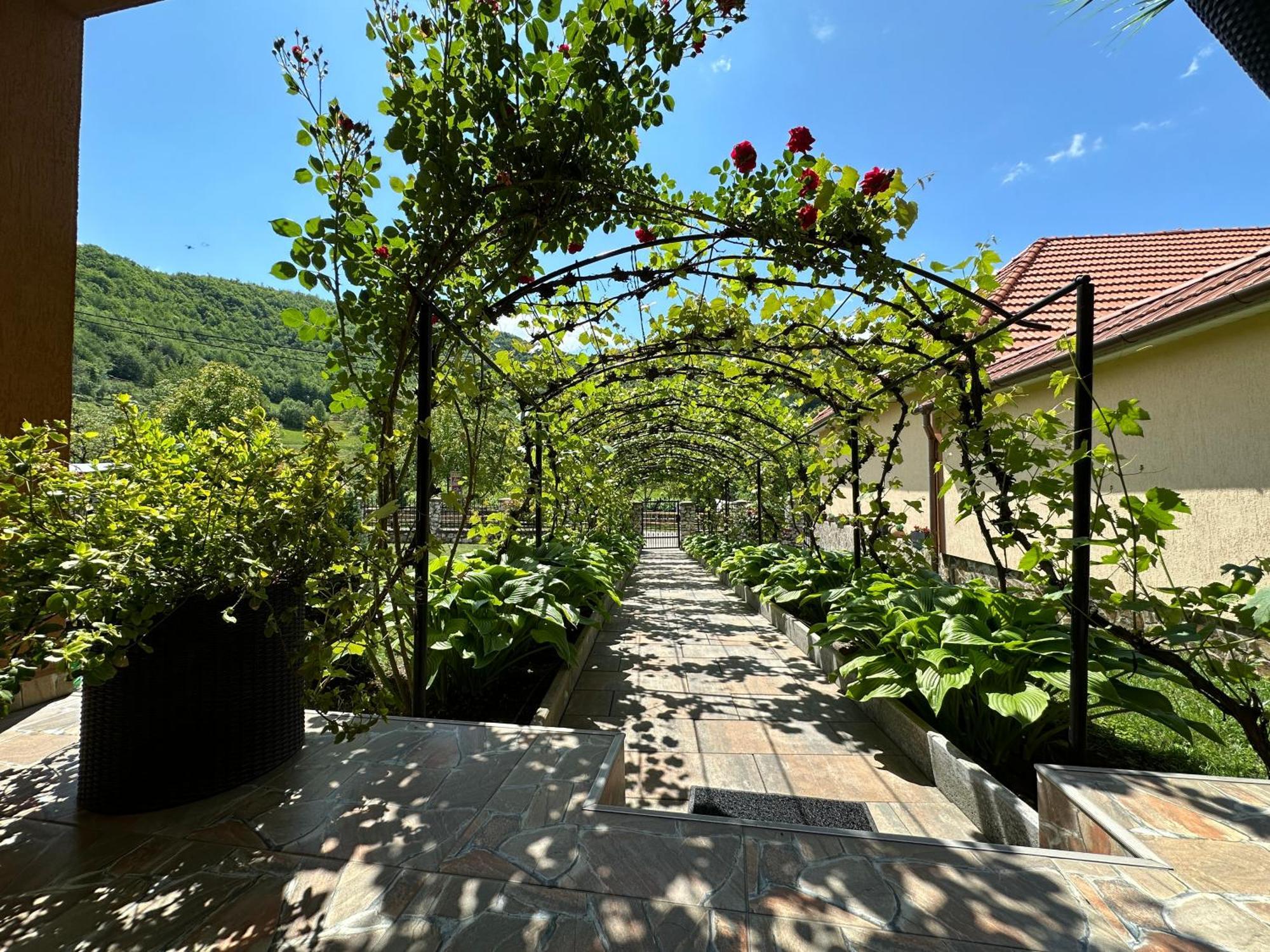 Casa Antonia Hotel Chiscau Exterior photo